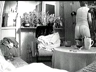 荷兰水管工得到了漂亮的妻子