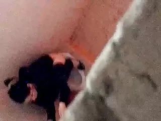 热宝贝黑发粉碎