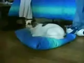 金发女郎与她的性玩具