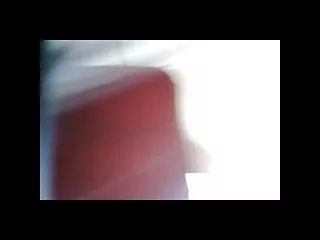 大山雀金发女郎粉碎